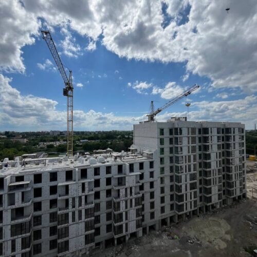 ridnyi_dim_31 05_2